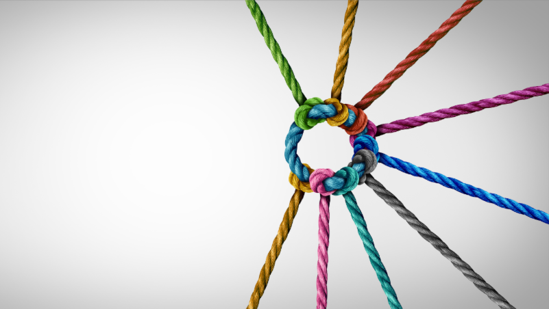 Robust Lead Distribution Software